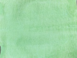 Grande peau de cuir de lézard vert pomme - maroquinerie bijou - Cuirenstock