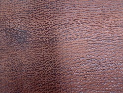 Morceau de peau de cuir de requin - Brun rouge - détail du grain - Cuir en Stock