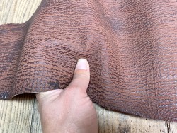 Morceau de peau de cuir de requin - Brun rouge - détail du grain - cuir en stock