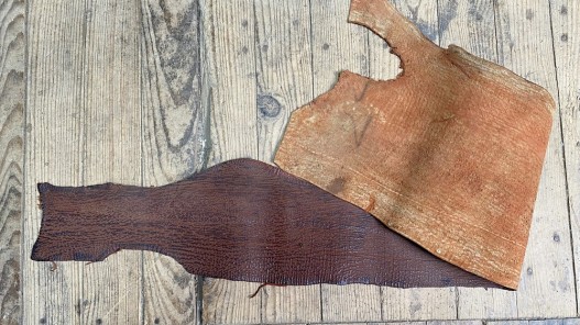 Morceau de peau de cuir de requin - Brun rouge - détail du grain - Cuirenstock