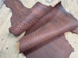 Morceau de peau de cuir de requin - Brun rouge - détail du grain - cuirenstock
