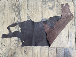 Morceau de peau de cuir de requin - Brun foncé - cuirenstock