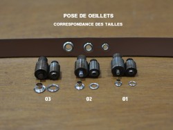 Jeu de pose - accessoires - œillets - matrice - différentes tailles - pince presse d'établi - Cuir en stock