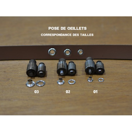 Kit complet - Pose d'accessoires - Pince presse d'établi - jeux de pose - Rivets - œillets - boutons pressions - cuir en stock