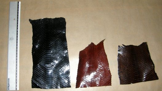 morceaux peau de serpent cuir exotique noir brun Cuir en Stock