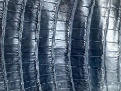 Morceau de cuir de crocodile véritable bleu pétrole maroquinerie accessoire bijoux cuir en stock