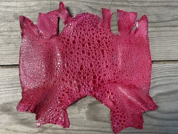 Peau de cuir de crapaud - grenouille - bullfrog - rose fuchsia - bijou- maroquinerie - Cuir en stock