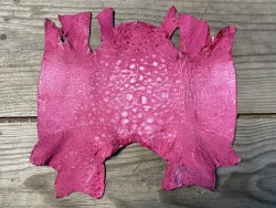 Peau de cuir de crapaud - grenouille - bullfrog - rose fuchsia - bijou- maroquinerie - cuir en stock