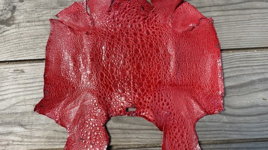 Peau de cuir de crapaud - grenouille - bullfrog - rouge - bijou- maroquinerie - Cuir en stock