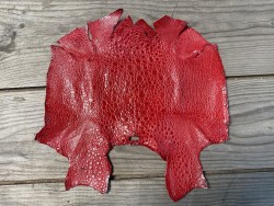 Peau de cuir de crapaud - grenouille - bullfrog - rouge - bijou- maroquinerie - Cuir en stock