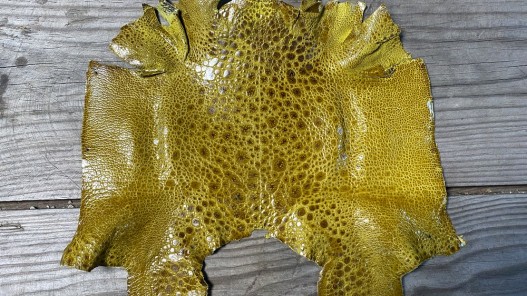 Peau de cuir de crapaud - grenouille - bullfrog - jaune - bijou- maroquinerie - Cuir en stock
