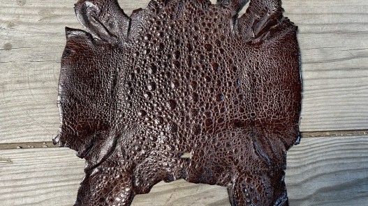 Peau de cuir de crapaud - grenouille - bullfrog - marron - bijou- maroquinerie - Cuir en stock