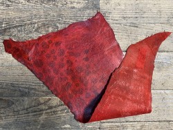 Peau de cuir de poisson - Loup de mer - Cuir marin - rouge - cuir en stock