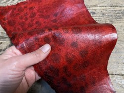 Peau de cuir de poisson - Loup de mer - Cuir marin - rouge - Cuir en Stock