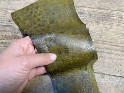 Peau de cuir de poisson - Loup de mer - Cuir marin - vert kaki - Cuir en Stock
