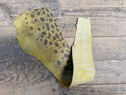 Peau de cuir de poisson - Loup de mer - Cuir marin - jaune - cuir en stock