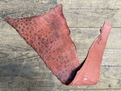 Peau de cuir de poisson - Loup de mer - Cuir marin - corail - cuir en stock