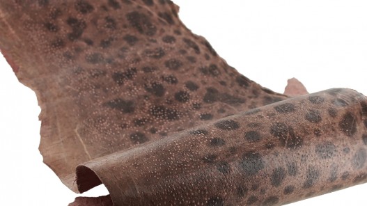 Peau de cuir de poisson - Loup de mer - Cuir marin - beige rosé - Cuir en stock