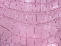 Morceau de peau de cuir de crocodile rose - maroquinerie - bijou - Cuir en Stock