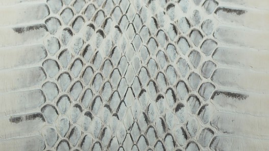 Détails peau de cuir de cobra naturelle - Cuirenstock