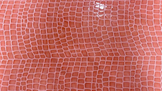 Morceau de cuir prédécoupé - rectangulaire - veau vernis façon crocodile corail - Cuir en Stock
