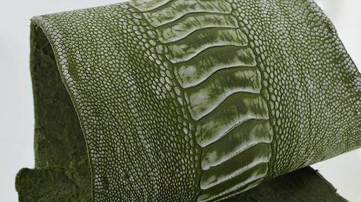 Peau de cuir de patte d'autruche vert kaki vieilli - bijou - bracelet de montre - maroquinerie - Cuir en Stock