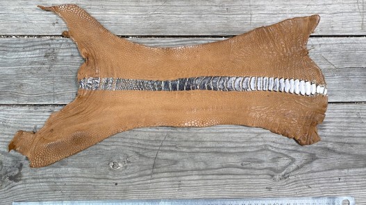 Peau de cuir de patte d'autruche camel métallisé argent - bijou - bracelet de montre - maroquinerie - cuir en stock