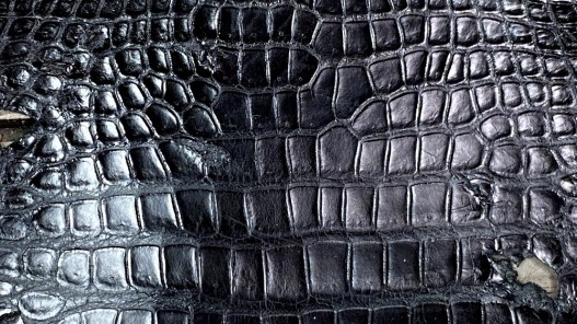 Cuir de crocodile véritable - tête de crocodile - noir mat - cuir exotique - bijoux - accessoire - Cuir en Stock
