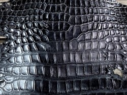 Cuir de crocodile véritable - tête de crocodile - noir mat - cuir exotique - bijoux - accessoire - Cuir en Stock