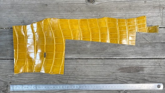 Morceau de peau de cuir de crocodile jaune moutarde - maroquinerie - bijou - Cuir en stock