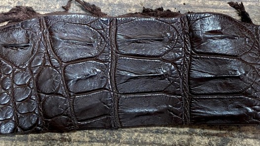 Morceau de cuir crocodile véritable marron mat - cuir en stock
