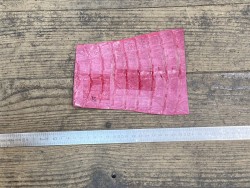morceau de cuir de crocodile véritable rose - Cuirenstock