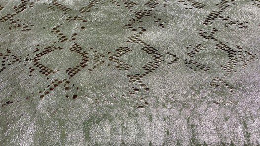 Demi-peau de veau vert d'eau grain serpent métallisé - maroquinerie - Cuirenstock