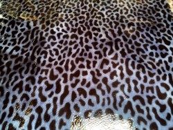 Demi-peau de cuir de veau motif façon léopard vernis bleu - Cuirenstock
