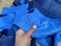 Chutes morceaux de cuir d autruche véritable - bleu - luxe - Cuir en stock