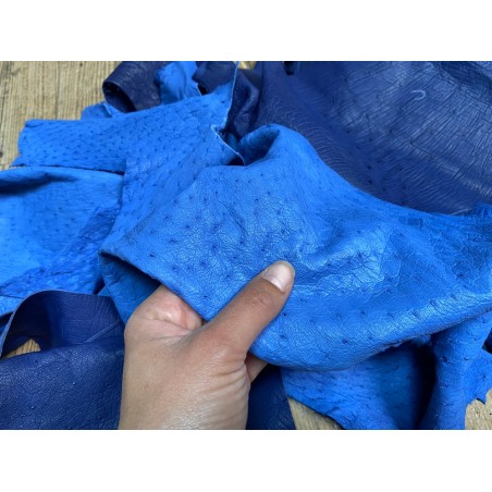 Chutes morceaux de cuir d autruche véritable - bleu - luxe - Cuir en stock
