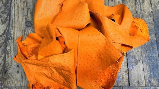 Chutes morceaux de cuir d autruche véritable - orange - luxe - cuir en stock