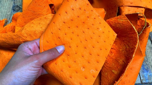 Chutes morceaux de cuir d autruche véritable - orange - luxe - Cuir en stock