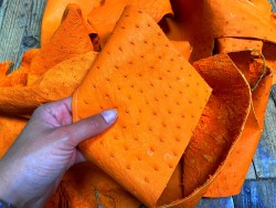Chutes morceaux de cuir d autruche véritable - orange - luxe - Cuir en stock