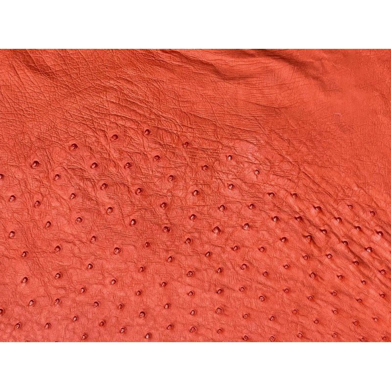 Peau de cuir d'autruche rouge corail - picots luxe - Cuir en stock