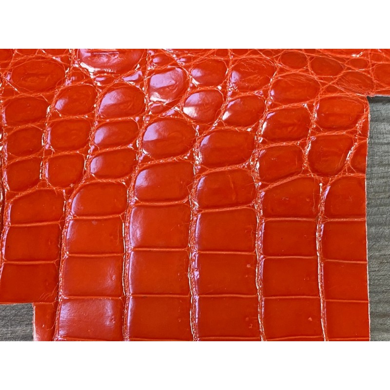 Morceau de cuir exotique - véritable peau de crocodile orange - bijou - accessoire - Cuir en Stock