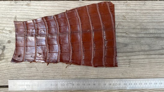 Morceau de cuir de crocodile véritable brun mat Cuir en Stock