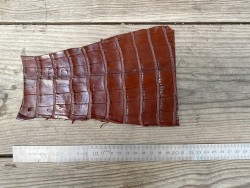 Morceau de cuir de crocodile véritable brun mat Cuir en Stock