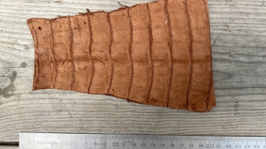 Morceau de cuir de crocodile véritable brun mat Cuirenstock