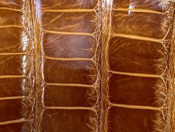 Morceau de cuir crocodile véritable - brun caramel - cuir en stock