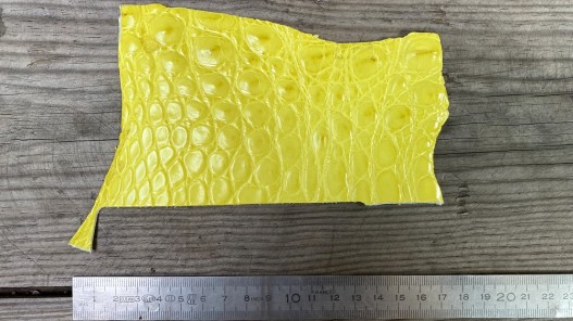 Morceau de cuir crocodile véritable - jaune - Cuir en stock