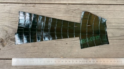 Morceau de cuir crocodile véritable - vert forêt - Cuir en stock