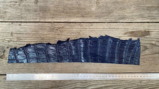 Morceau de cuir crocodile véritable bleu marine mat - Cuir en stock