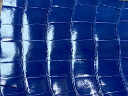Morceau de cuir crocodile véritable bleu - cuir en stock