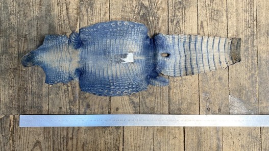 Morceau de peau de cuir de crocodile - bleu nuit - maroquinerie - bijou - cuir en stock